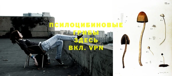 a pvp Богородицк