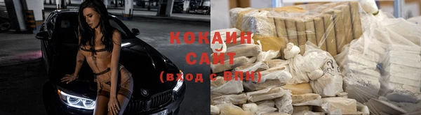 гидропоника Богородск
