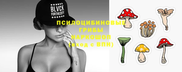 a pvp Богородицк