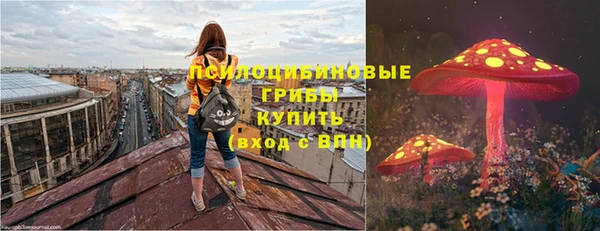 гидропоника Богородск