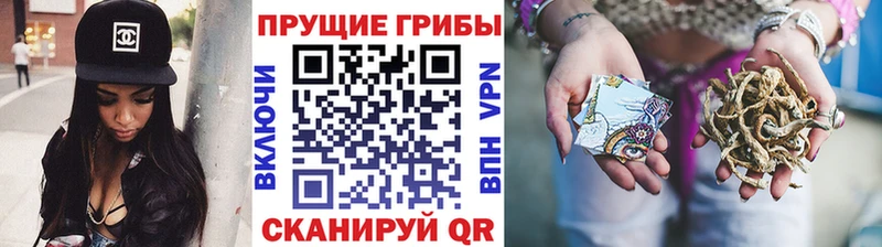 это формула  Мостовской  Галлюциногенные грибы GOLDEN TEACHER  где купить наркоту 